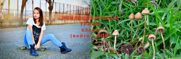 спиды Абинск