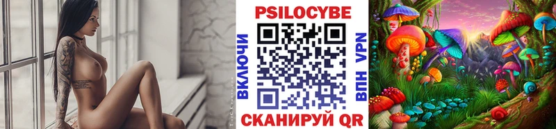 купить наркотик  Лакинск  Псилоцибиновые грибы мицелий 